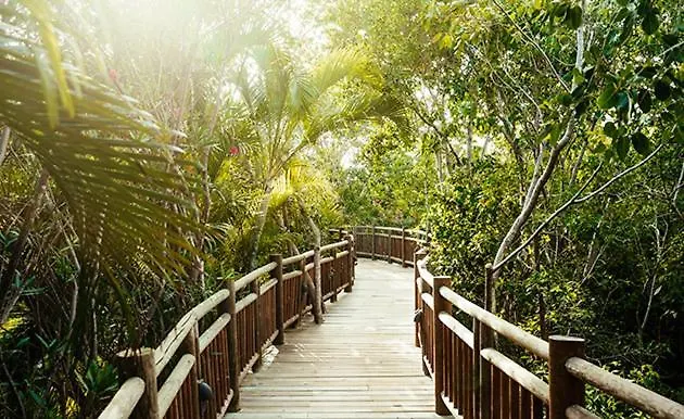 Resort Vidanta Riviera Maya 莫雷洛斯港 酒店